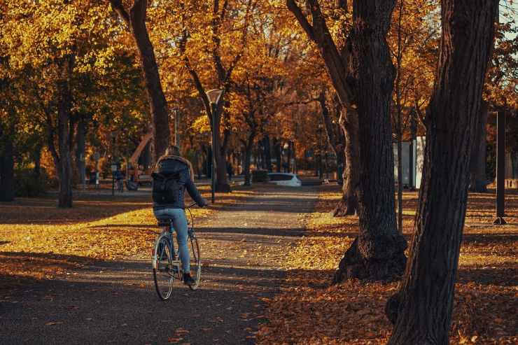 ragazza in bicicletta su viale alberato